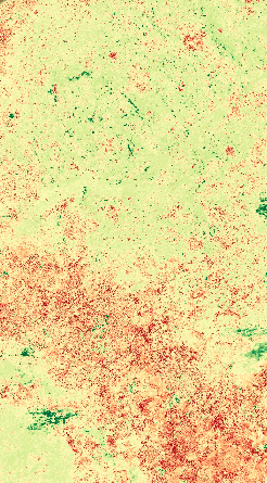 Cropy anaysis map using NDVI